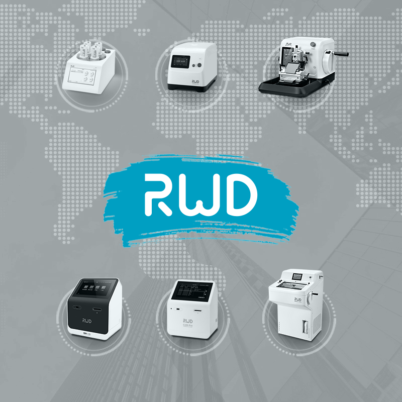 Приветствуем компанию RWD!